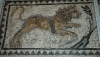 07-Mosaic lion